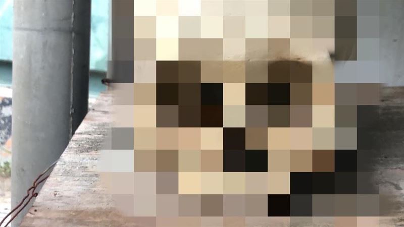 清潔婦踢出人頭！警一查嚇壞：是真的