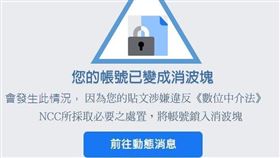 顏寬恒評數位中介服務法扼殺消波塊創意。（圖／翻攝顏寬恒臉書）