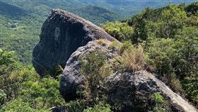 路上觀察學院 大猩猩（圖／澤仁陳授權提供）