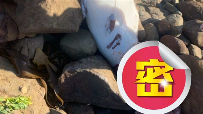 海邊驚現「生猛海鮮」沖上岸　網嚇瘋