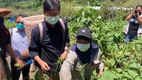 a邁柯拚原鄉1800