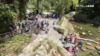 賞鳥兼避暑！中海拔山區景點夯