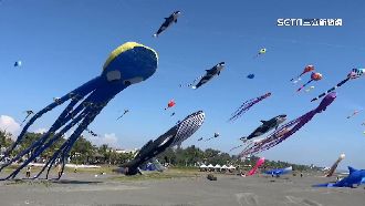 搶看旗津大風箏　渡輪隧道塞爆居民怨