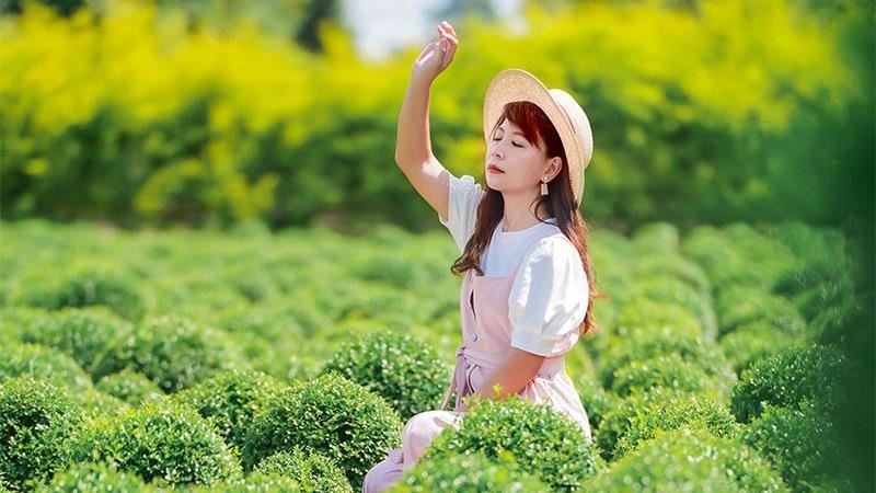 彰化「台版波波草」秘境重新開放！