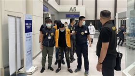 柬埔寨、詐騙、豬仔