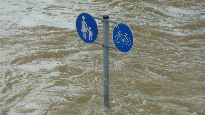 印度雨季暴雨成災　3天逾50人喪生