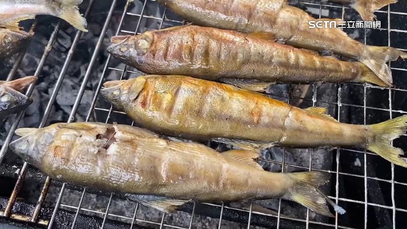 氣候變熱+飼料貴　香魚量減4成喊漲