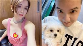 李妍瑾、圤智雨（圖／翻攝自李妍瑾、圤智雨臉書）