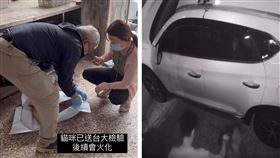 台中東區男子遛狗放任咬死生產完母貓。（圖／翻攝臉書社團虐待動物惡人整理）