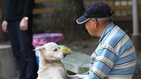 小心踩雷！高齡長者貸款當心贈與稅（圖／資料照）