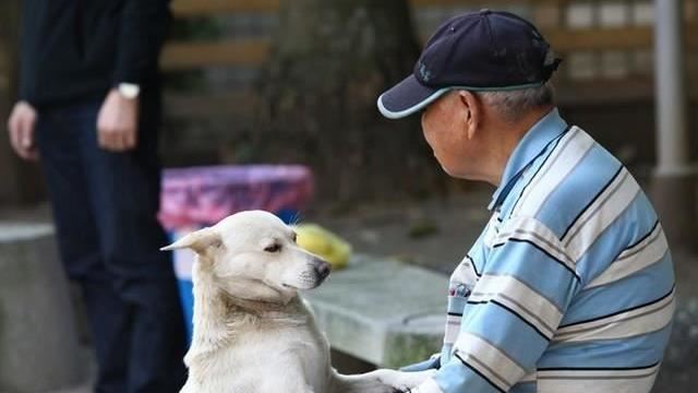 將成超高齡社會　國發會：老化程度增