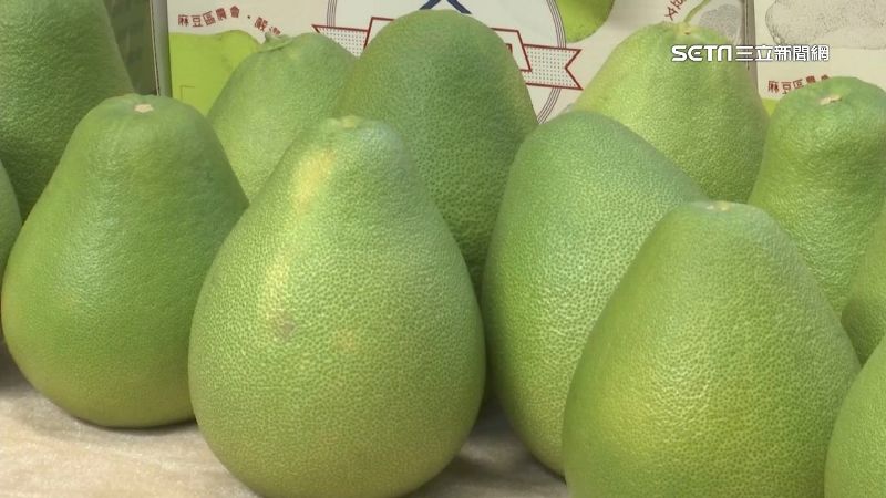 教育部表示，文旦只是柚子的其中一種。圖為麻豆文旦。（圖／資料照）