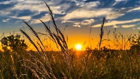 ▲處暑到。（示意圖／翻攝自Pixabay）