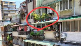 遮雨棚放盆栽（圖／翻攝自爆料公社）