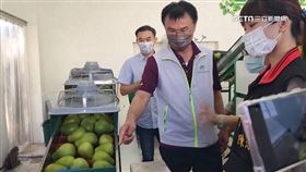 挺柚農！農委會加碼收購花蓮文旦柚加工果