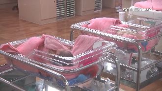 「疫情+虎年」今年總生育率恐創新低