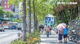 ▲台灣的處暑氣候依舊炎熱。（圖／記者陳弋攝影）
