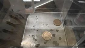 公車,逃票,媽媽,身教(翻攝自 爆怨公社)