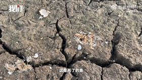 鄱陽湖 乾旱（圖／翻攝自微博）
