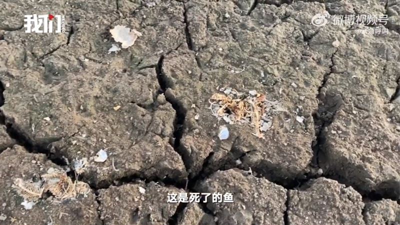 長江流域乾旱水位見底　佛像重見天日