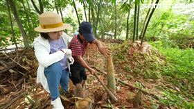 探尋南投！跟著「城鄉島遊」遊桃米
