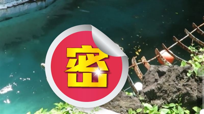 漂漂河要這麼玩！網驚：牠游得比我好