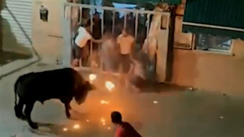 公牛遭點火亂竄　男慘被輾撞猛刺身亡