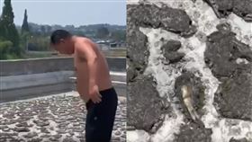 小魚乾（圖／翻攝自大河報）