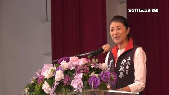 許淑華論文10月審完　曾琮凱：太慢