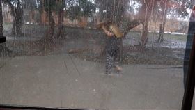 信義區淹水。臉書「信義區三兩事」