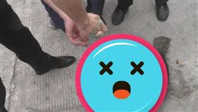 河南水怪（圖／翻攝自網易新聞）