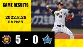 ▲阪神虎西純矢。（圖／取自阪神虎FB）