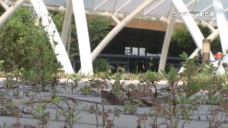 8.1億造台中花舞館　至今荒煙漫草