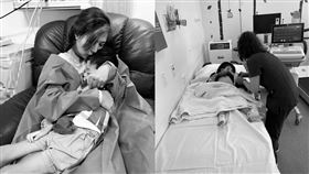 網紅「便當夫人」臉書