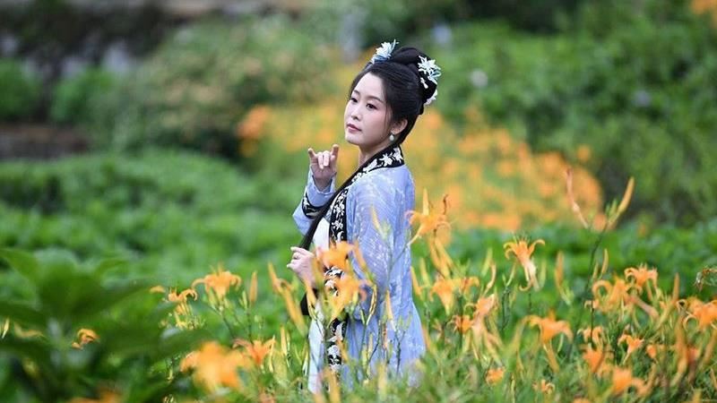 免赴花東！竹子湖金針花海盛開