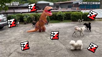主人扮暴龍嚇壞愛犬　牠偷襲反應超萌