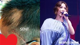 田馥甄,演唱會,癌末,求票(發文者 提供)