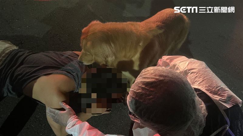 遛狗醉倒路邊　黃金獵犬一路暖護主人