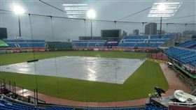 ▲青埔樂天桃園球場12日因雨延賽。（圖／記者蕭保祥攝影）