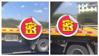 國道驚見卡車載「豬仔」奔馳！網嚇瘋