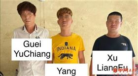 人蛇集團,中國,大陸,台灣,柬埔寨,桂裕強（（圖／翻攝自推特）