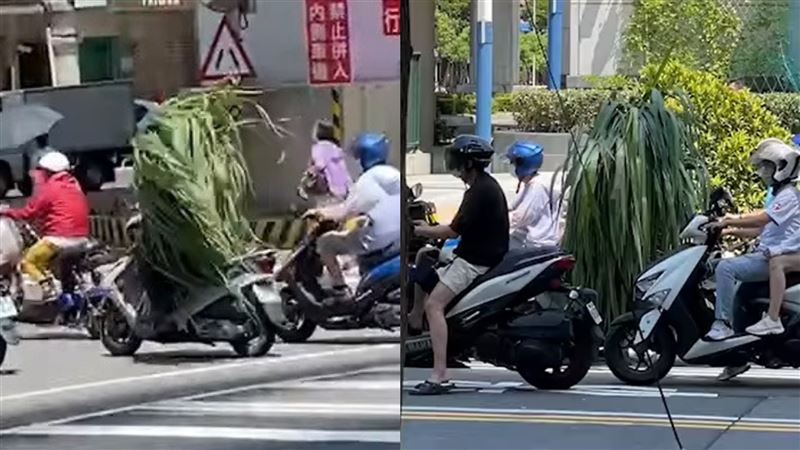 街頭驚見草堆在騎車！網笑：跑毒圈啦
