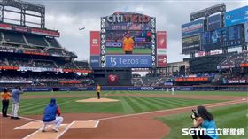 大都會台灣日、彭政閔（恰恰）、蔡英文／駐紐約台北經濟文化辦事處授權提供