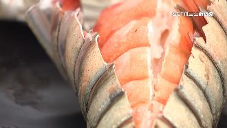 中秋沒禁烤！撒幣不手軟攻高單價食材