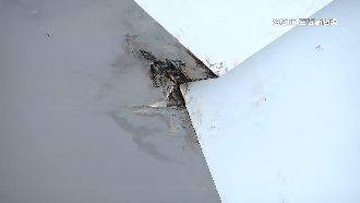 城博會爆缺失　天花板裂石塊恐落傷人