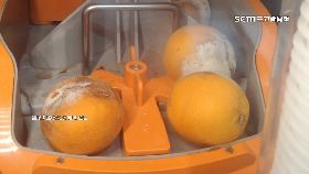 賣柳橙長毛1200.