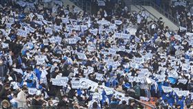 ▲三星獅在大邱。（資料照／取自三星獅FB）