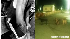 口湖海風的味道授權提供