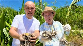 （圖／草地狀元提供）