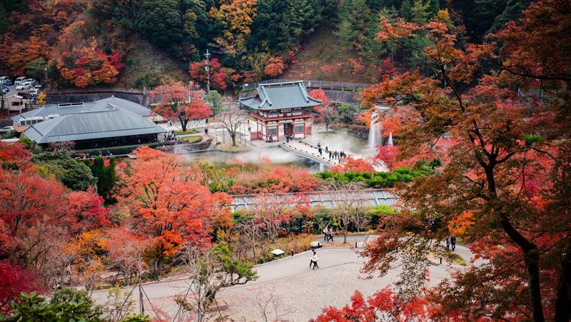 日本要戴口罩？必去景點？旅日重點曝